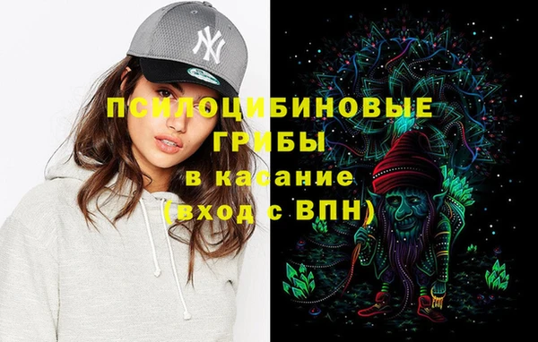 гидропоника Дмитриев