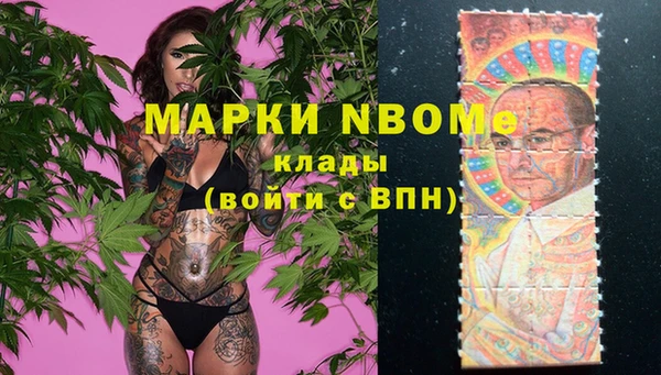 бошки Дмитров
