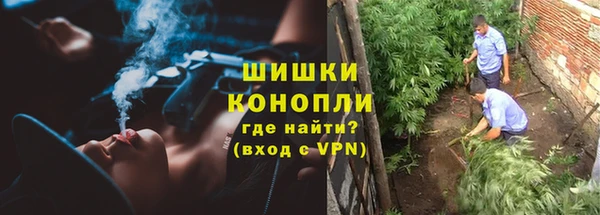a pvp Ельня