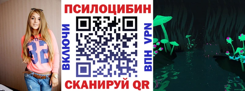Псилоцибиновые грибы мицелий  Купить закладки  Кодинск 